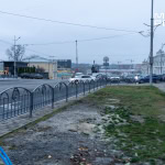 Сосни на майдані Конституції у Харкові