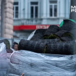 Сосни на майдані Конституції у Харкові