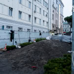 Сосни на майдані Конституції у Харкові