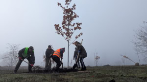 Зображення до посту: У Златополі заклали «Алею героїв» на честь загиблих захисників