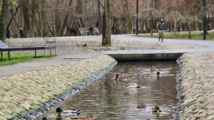 Зображення до посту: У Саржиному Яру в Харкові відлякуватимуть щурів ультразвуком