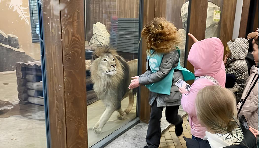 Діти в зоопарку