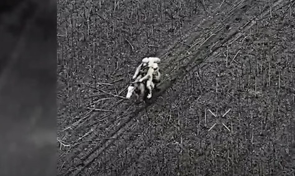 Зображення до:  Через втрати техніки російські окупанти використовують коней