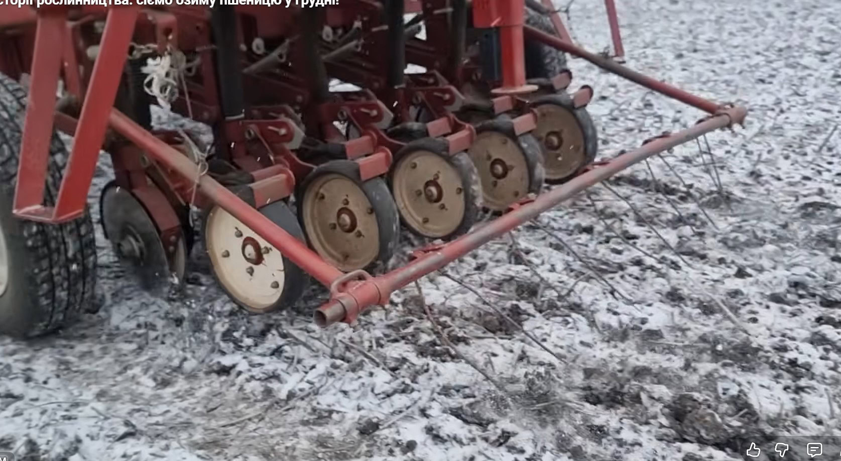 Зображення до:  На Харківщині вперше сіють озиму пшеницю у грудні: експеримент Інституту Юр’єва