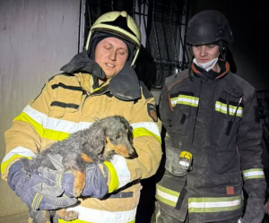 Зображення до посту: Обстріли Харківщини за добу: двоє загиблих, двоє поранених, врятований пес