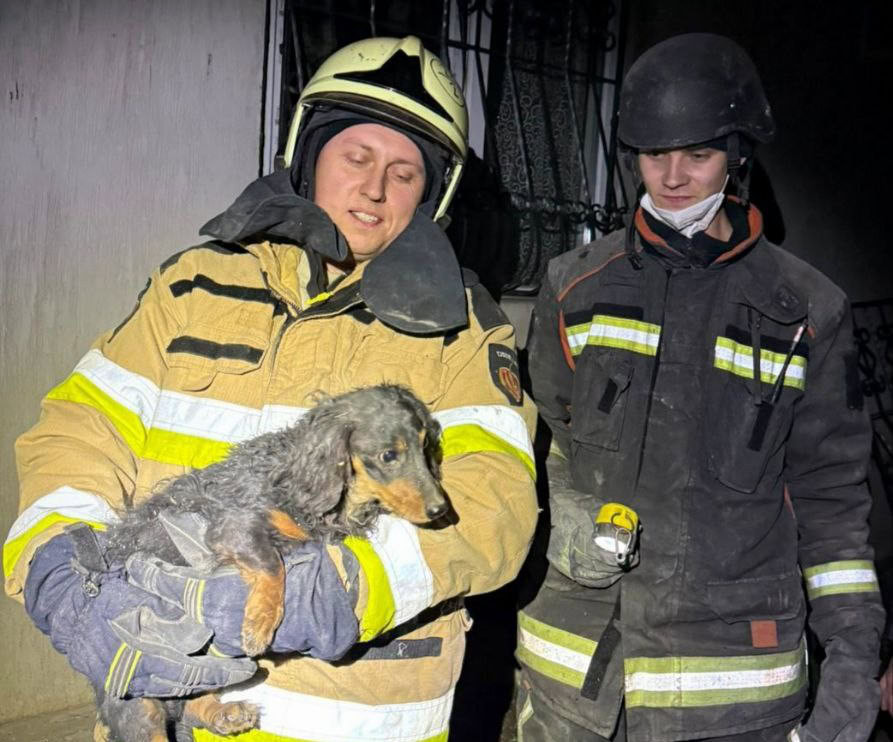 Зображення до:  Обстріли Харківщини за добу: двоє загиблих, двоє поранених, врятований пес