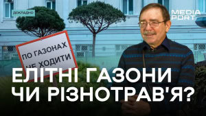 Зображення до посту: Як зекономити на озелененні у Харкові? Юрій Бенгус про листя, сніг, дерева та газони