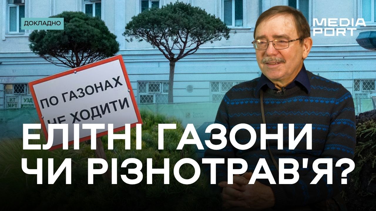 Article Як зекономити на озелененні у Харкові? Юрій Бенгус про листя, сніг, дерева та газони