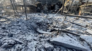 Зображення до посту: Наслідки удару по екопарку: у громаді під Харковом спростували інформацію про втечу хижаків