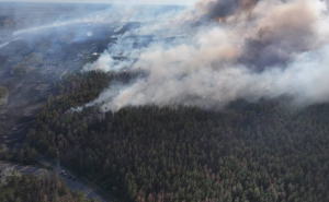 Зображення до посту: На Харківщині через недопалок згоріли майже 370 гектарів лісу: збитки — понад 30 мільйонів гривень
