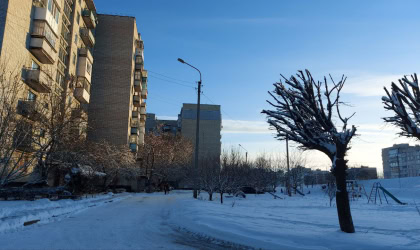 Лозова_зима