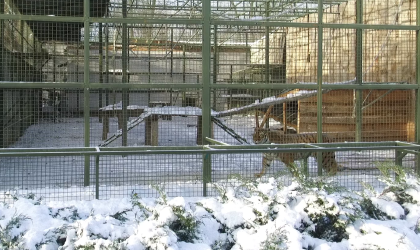 vlcsnap-2026-01-01-14h41m12s656