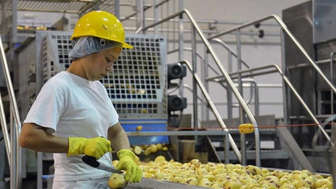 Зображення до:  Підприємцям Харківщини пропонують гранти до 5 тис. доларів за проєктом «Віднова»