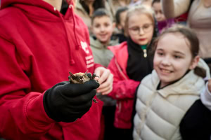 Зображення до посту: У харківському екопарку на волю випустили 1,5 тисячі врятованих кажанів