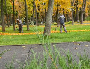 Зображення до посту: Центральний парк у Харкові замовив рулонний газон майже за 1,5 млн грн