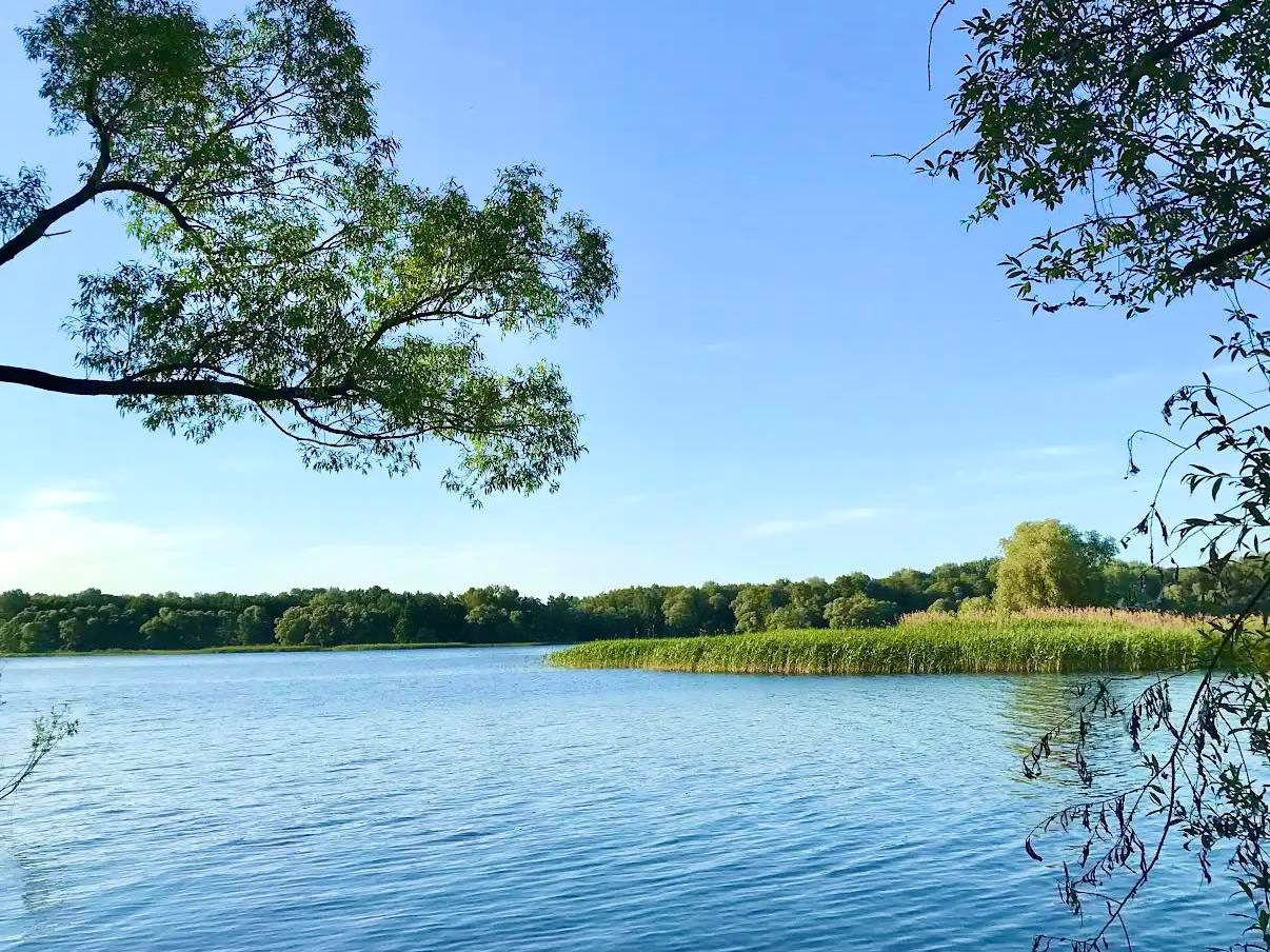 Водойма в Хотімлі на Харківщині
