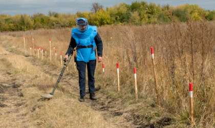 Демінер у полі