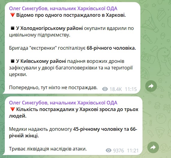 Скриншот дописів Олега Синєгубова